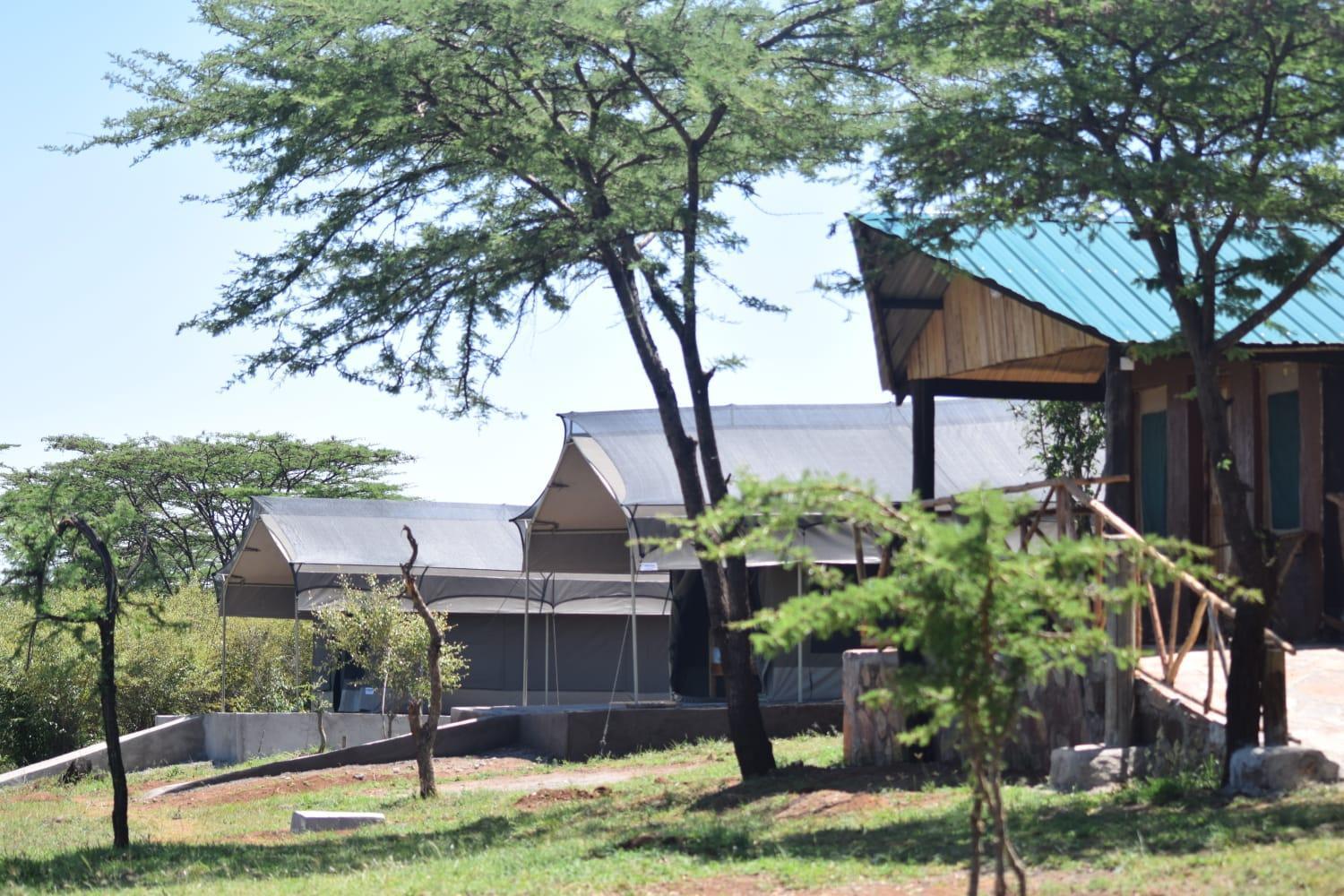 Maasai Mara Safari Camp In Kenya Bed & Breakfast Sekenani Exterior foto