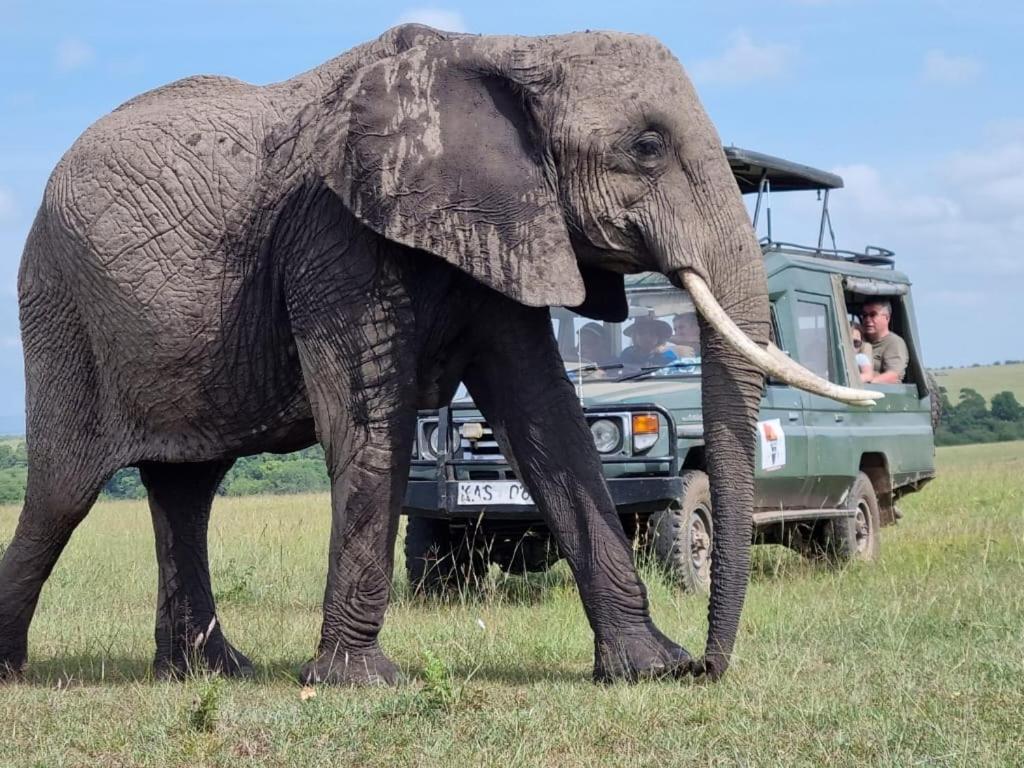 Maasai Mara Safari Camp In Kenya Bed & Breakfast Sekenani Exterior foto